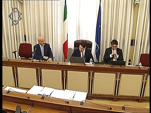 Roma -​ Audizione Società d'informatica (14.05.25)