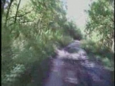 Raismes La forestiere