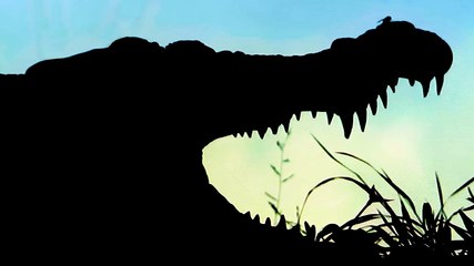 Solar Whisper Daintree Crocodile Wildlife Cruise