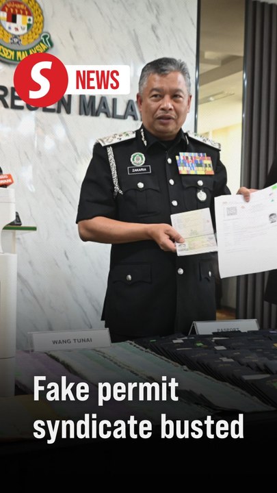 Unravelled: Immigration busts fake permit syndicate hidden behind carpet shop