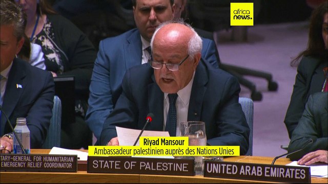 Gaza : les Palestiniens dénoncent à l'ONU le blocus israélien