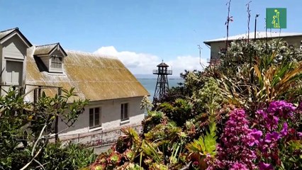 Alcatraz, entre la ruina y la polémica por la orden de Trump de reabrir la mítica prisión