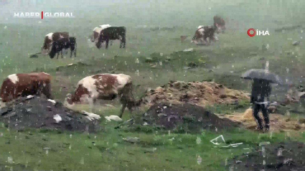 Kars'ta mayıs ayında lapa lapa kar şaşırttı