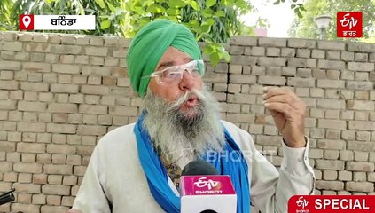 ‘ਚਿੱਟਾ ਸੋਨਾ’ ਕਹੇ ਜਾਣ ਵਾਲੇ ਨਰਮੇ ਦੀ ਫਸਲ ਤੋਂ ਮੁਖ ਮੋੜ ਰਹੇ ਹਨ ਕਿਸਾਨ, ਜਾਣੋ ਕਾਰਨ