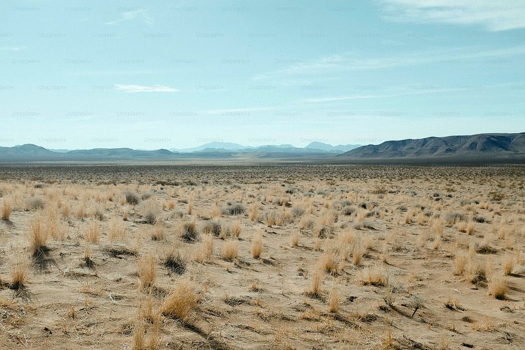 Qaramun intro