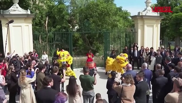 Due nuovi Panda allo zoo di Vienna