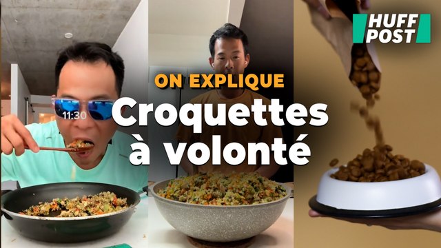 Pour bien manger, cet influenceur américain invente l’étrange recette des « croquettes pour humain »
