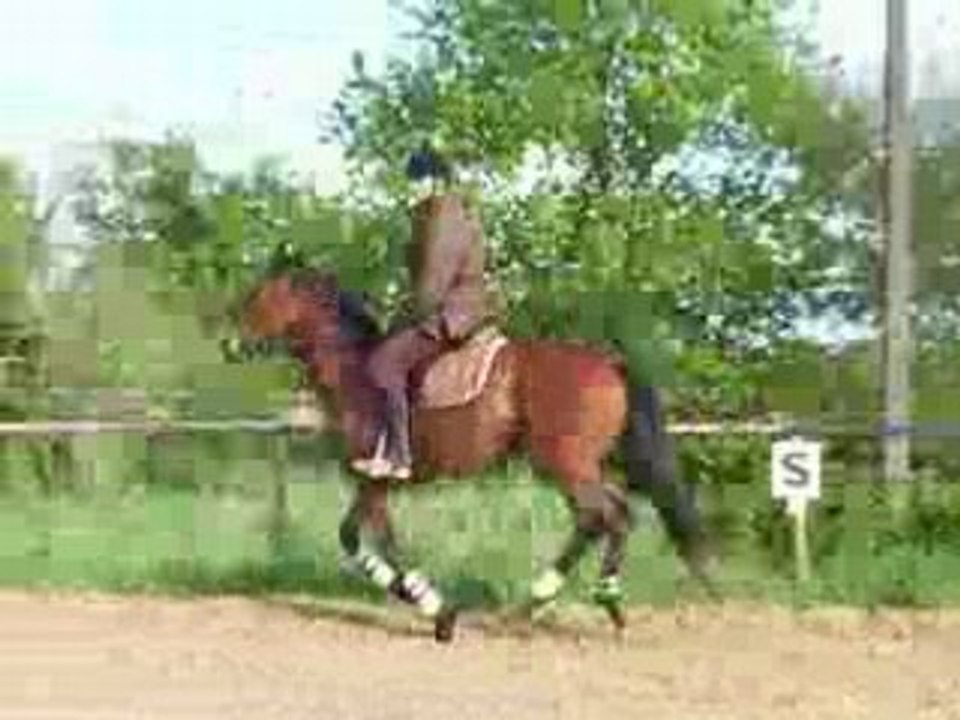 Photo 080