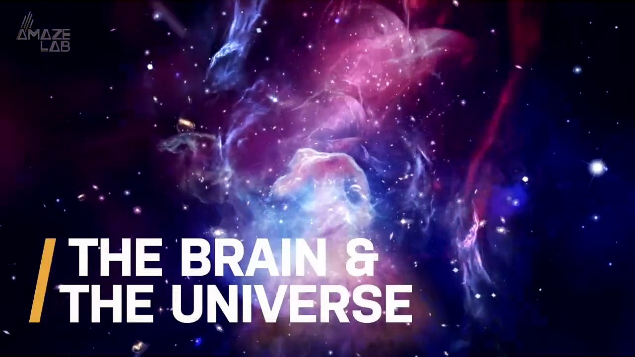 Wait What? The Universe Is Just the Human Brain Enlarged?