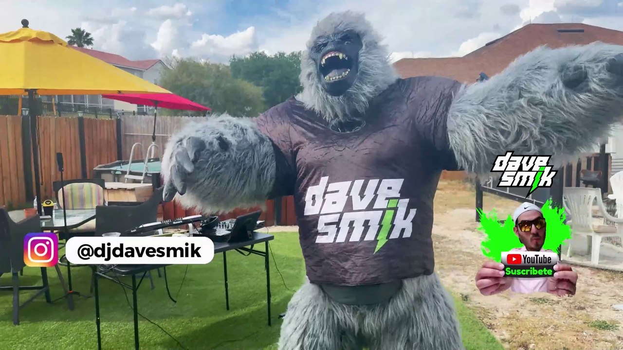 🔴 Mega Hora Loca Venezolana 2025 Mix 2  Éxitos Dj Dave Smik Bailalo Rocky Comando Borracho Exitos