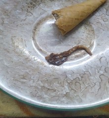 आइस्क्रीम कॉन से निकली छिपकली, दुकान को सील किया