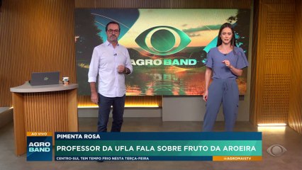 Pimenta rosa: professor explica alergia com fruto da aroeira