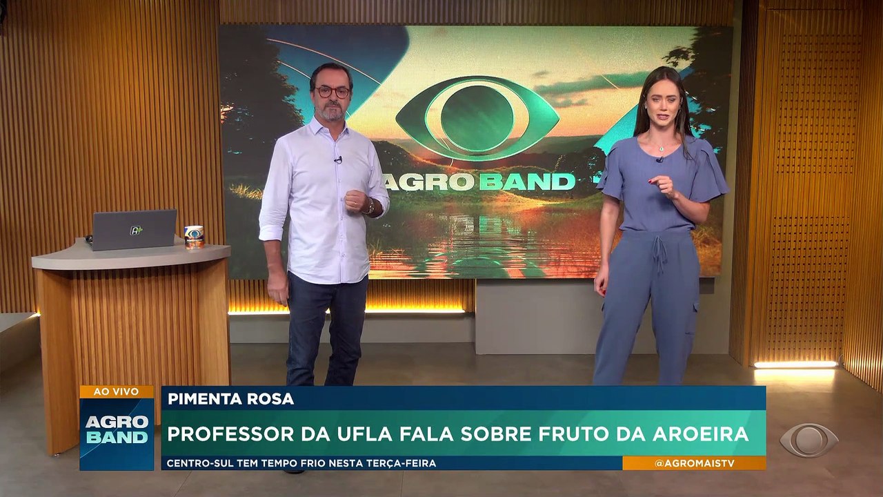 Pimenta rosa: professor explica alergia com fruto da aroeira