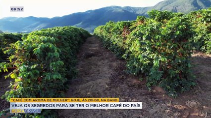 Veja os segredos para se ter o melhor café do país