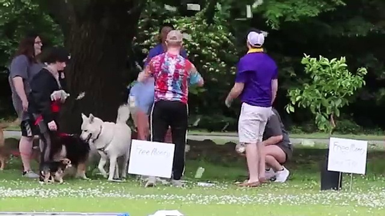 I Made Money Grow On Trees