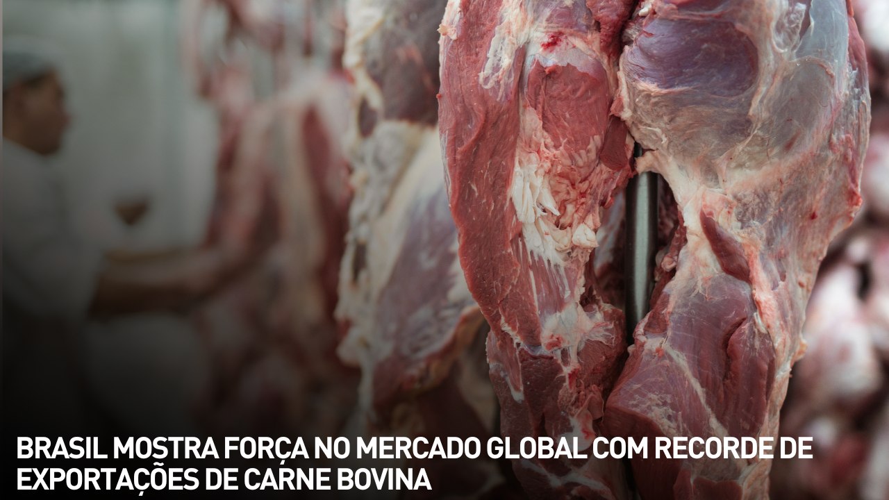 Brasil mostra força no mercado global com recorde de exportações de carne bovina