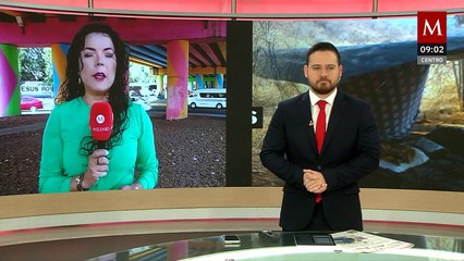 Michoacán: descubren 2 narcocampamentos fuerzas federales