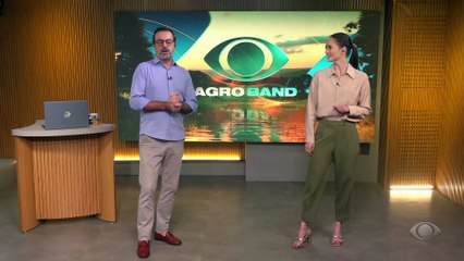 Viveiro no DF produz 18 milhões de mudas por mês