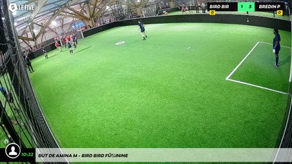 But de Amina M - Bird Bird Féminine