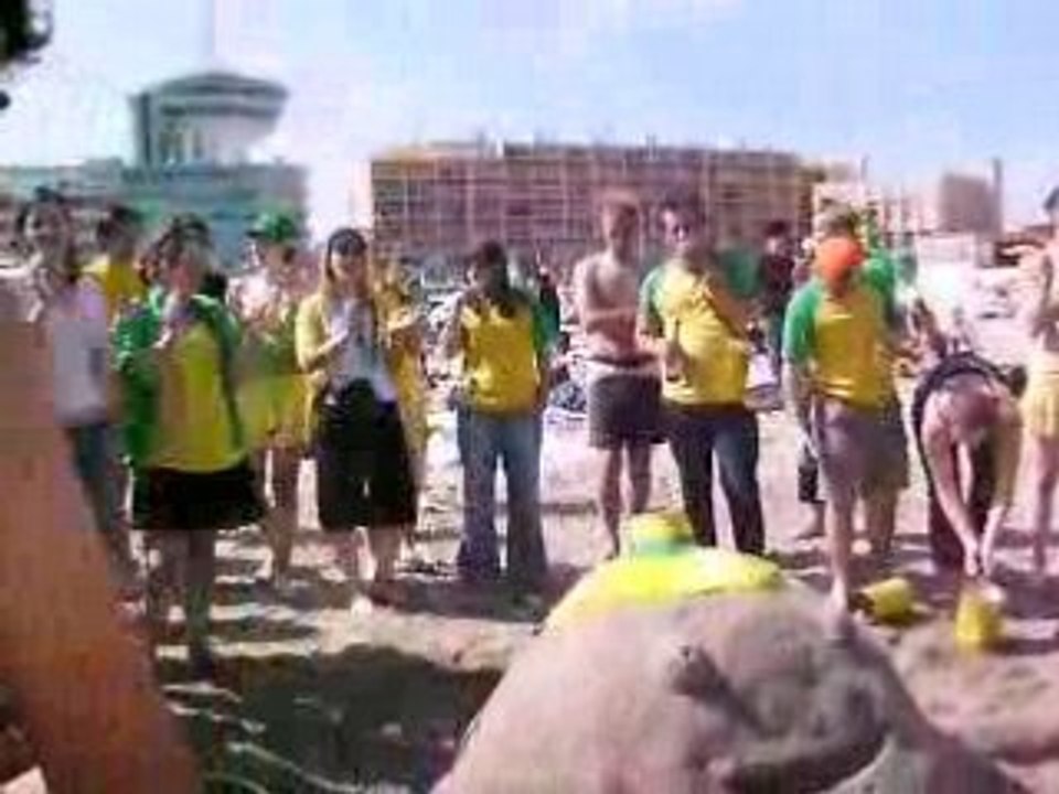 Poulpi au bord de la méditerranée