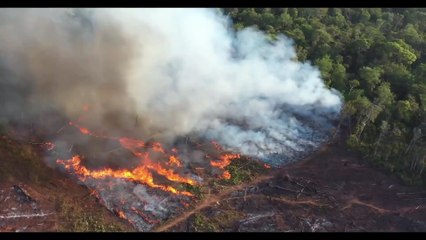 We Are Guardians Documentary Movie