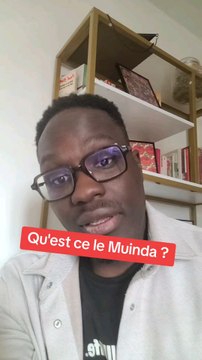 Je vous parle du système de pouvoir de mon manga (Chaotix Family) : le Muinda