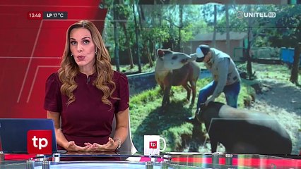 Alcaldía cruceña confirma irregularidades con la venta de boletos en el Zoológico