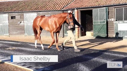 TDN Stallions: Isaac Shelby