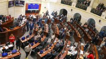 Se hundió en el Senado la consulta popular del Gobierno Nacional