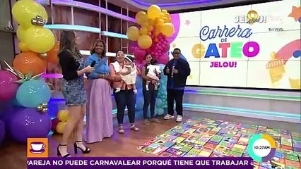 ¡Concurso de gateo de Jelou! Qué ternura