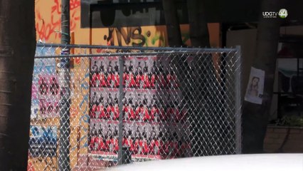 Pide diputada a Morena y PT “sacar las manos” del parque Rojo