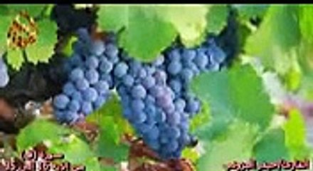 سورة ق _ تلاوة تبكي الصخر _ بصوت القارئ حيدر البزوني