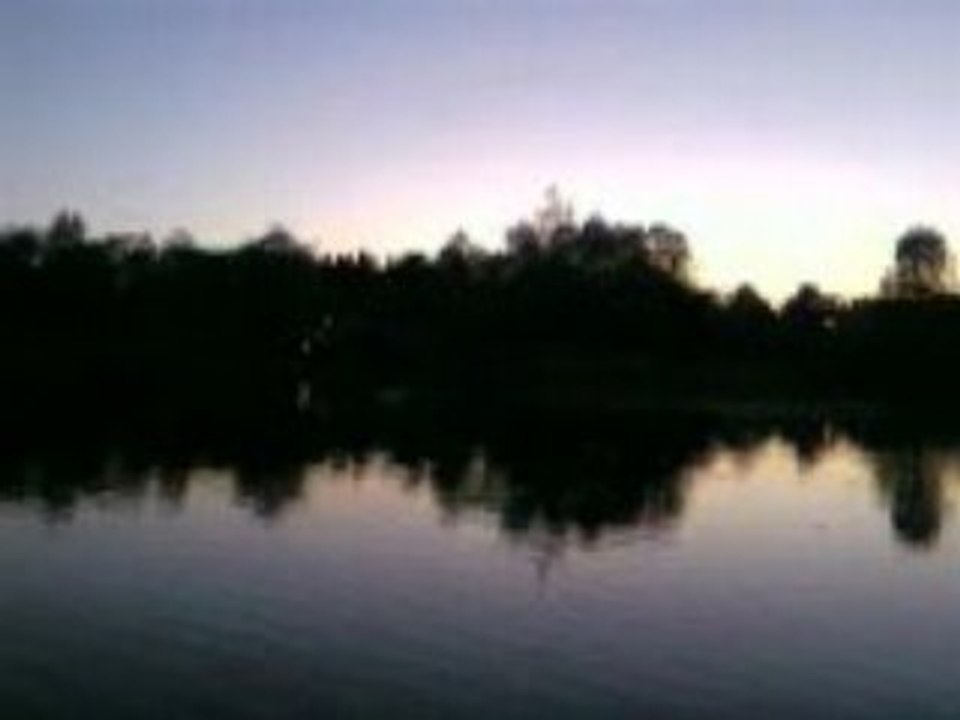 Video-0010_2