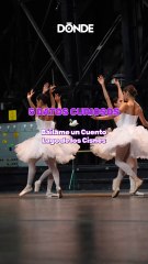 5 datos curiosos sobre Báilame un cuento: El Lago de los Cisnes