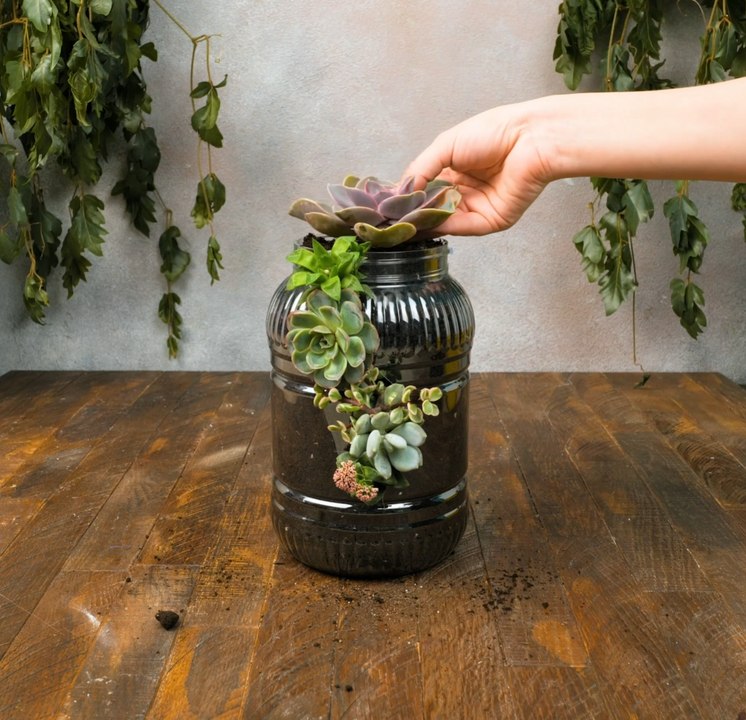 Des techniques d'experts pour des plantes florissantes !