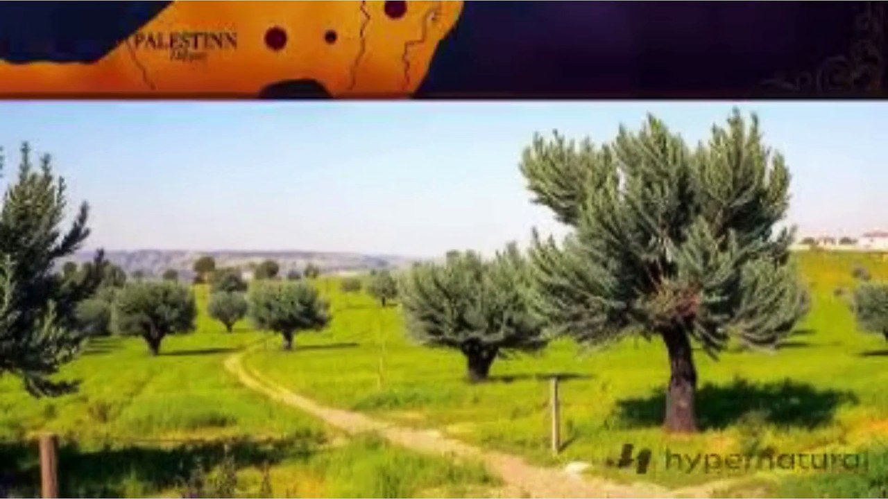 Nakba