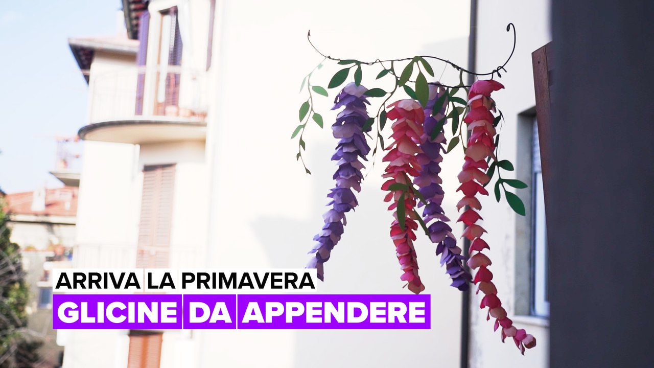 Arriva la primavera: Glicine da appendere