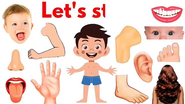 Parts of Body _ Body Parts Name _ Name of Body Parts in English #bodyparts #Educare