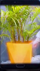 Dianggap Sangat Jahil Ternyata Anak Ini Pembawa Rezeki Part 3