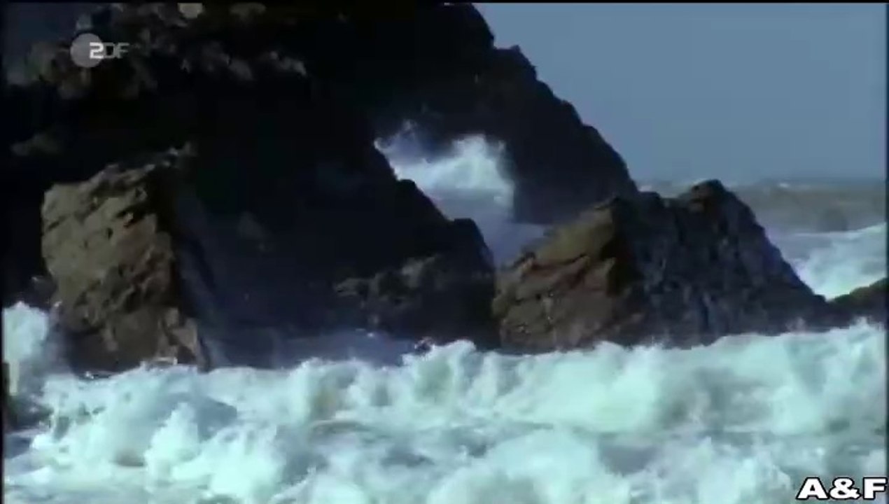 Rosamunde Pilcher -070- Die Muschelsucher (1)