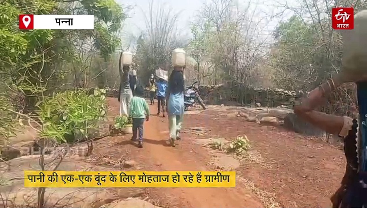 पन्ना के प्यासे गांव की दर्दभरी कहानी! जंगल में...
