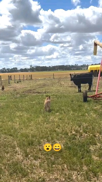 size doesn't matter