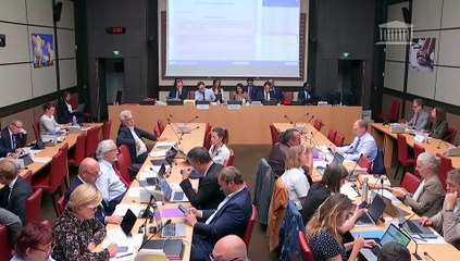 Commission des affaires économiques : Lever les contraintes à l’exercice du métier d’agriculteur (suite) - Mercredi 14 mai 2025