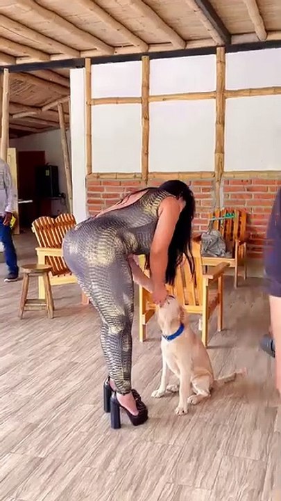 Dog intertain