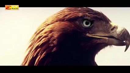 Alparslan S1-Ep20 720P