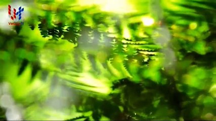 Himin Sare Galana - Anton Charles Thomas Ft Lesly Thomas