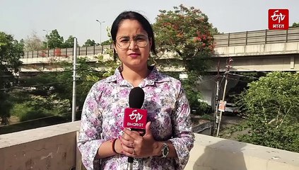 Hair Transplant कराना कितना खतरनाक है? कानपुर में हो चुकी है 2 इंजीनियर की मौत; जानिए क्या कहते हैं एक्सपर्ट