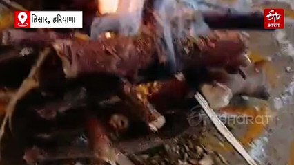 मेरा क्या कसूर मां...झाड़ियों में रोती हुई बच्ची की आवाज सुनकर घर लाया किसान, 'किस्मत' के आने से बढ़ी घर की रौनक