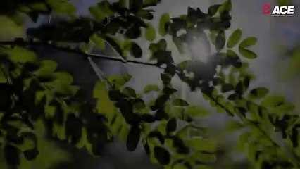 ACE Verde – A New Era of Living on Yamuna Expressway  Coming Soon