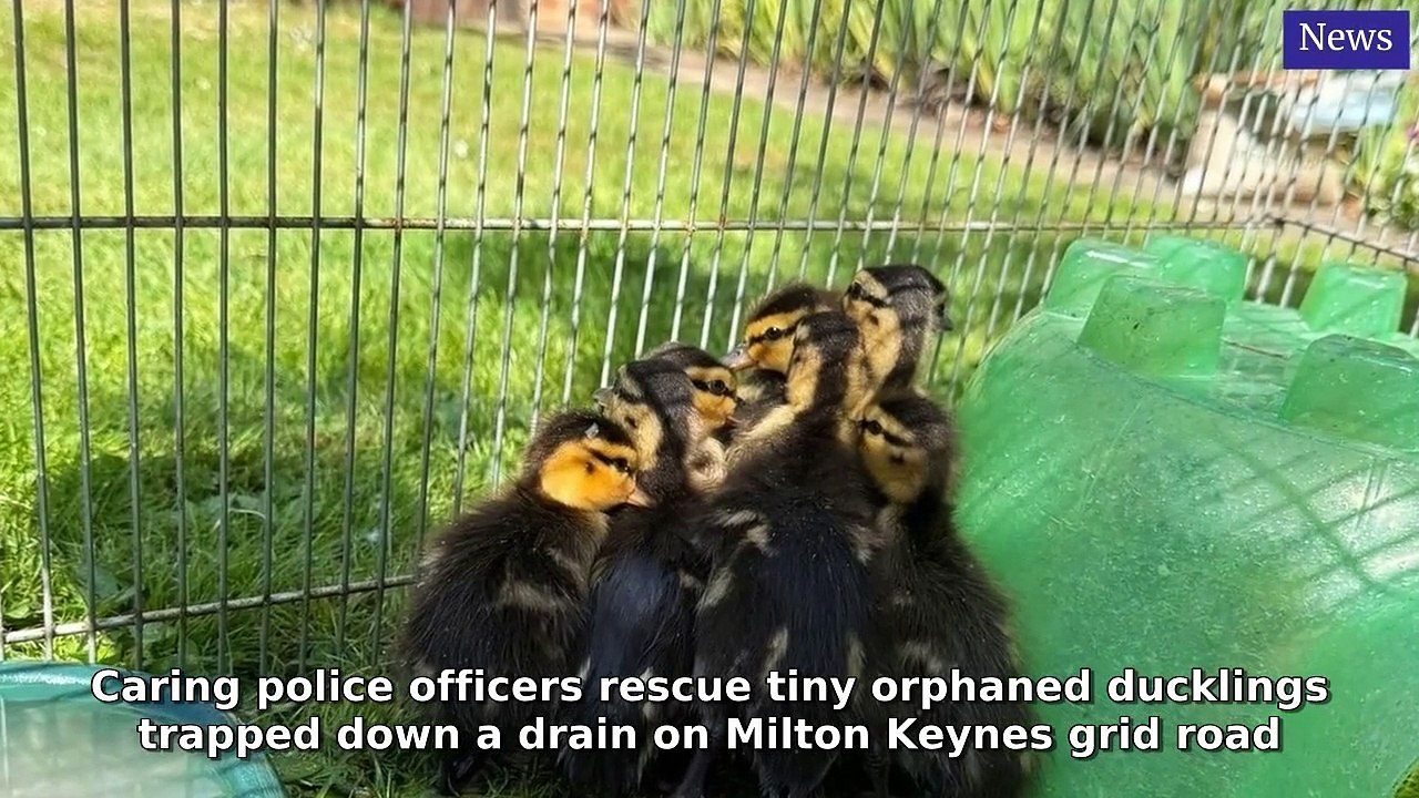 Milton Keynes Citizen Morning Update 15 May, 2025
